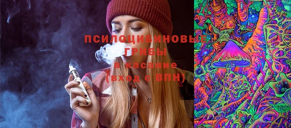 a pvp Осинники